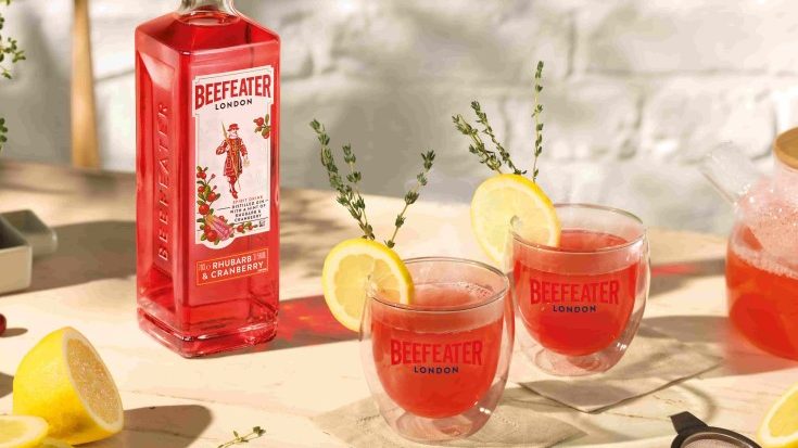 beefeater rhubarb cranberry gin hot toddy cocktail aspect ratio 16 9